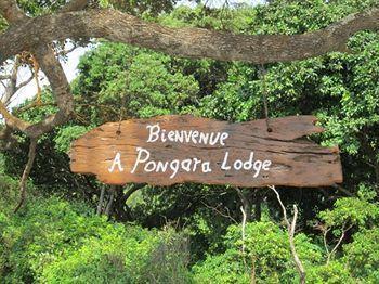Pongara Lodge ลิเบรอวิลล์ ภายนอก รูปภาพ